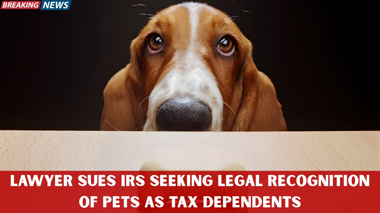 Lawyer Sues IRS Seeking Legal Recognition of Pets as Tax Dependents